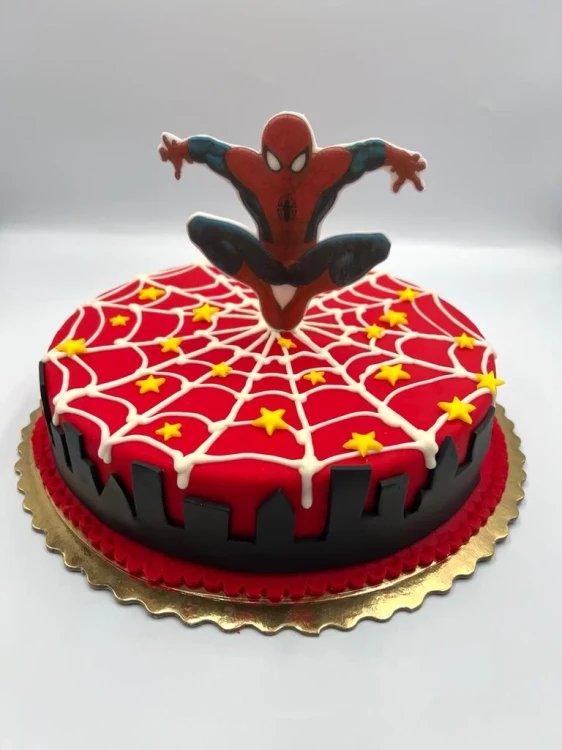 Tort Spider Man TD.010